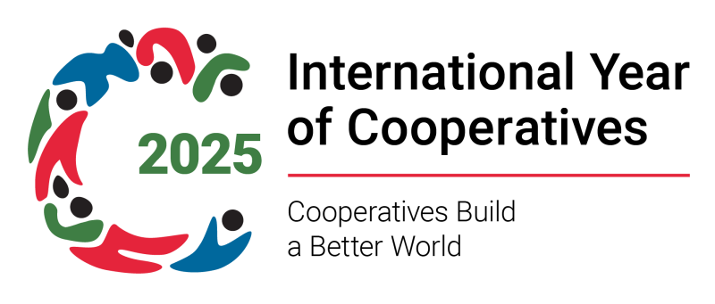 IYC 2025 Logo